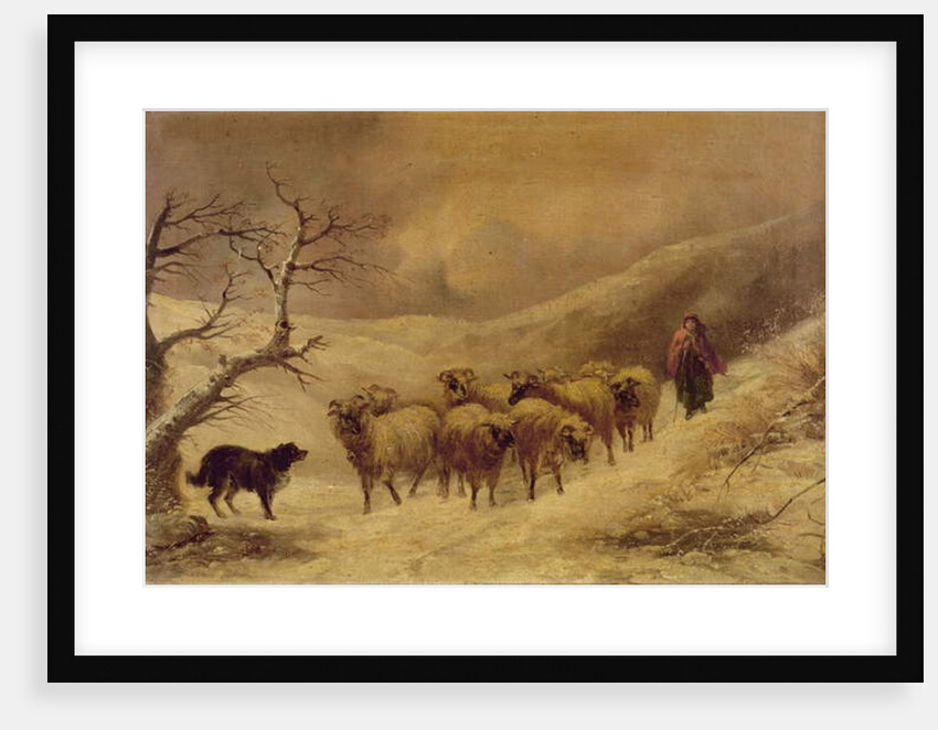 Shepherdess in the Snow, 1845-1900 by John Joseph Barker
