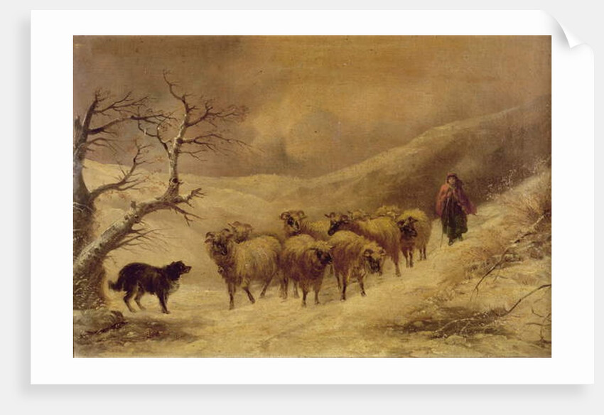 Shepherdess in the Snow, 1845-1900 by John Joseph Barker