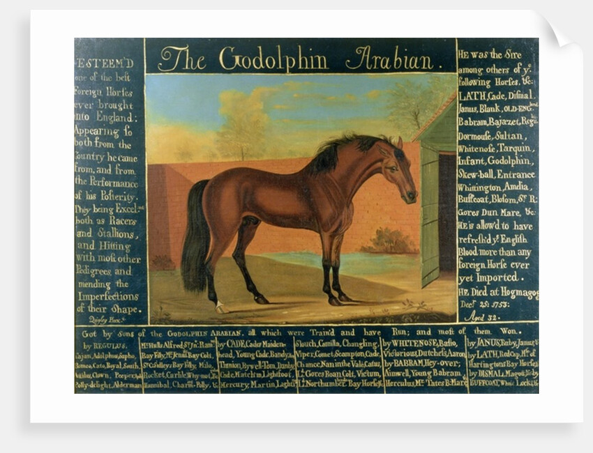 The Godolphin Arabian by Daniel Quigley