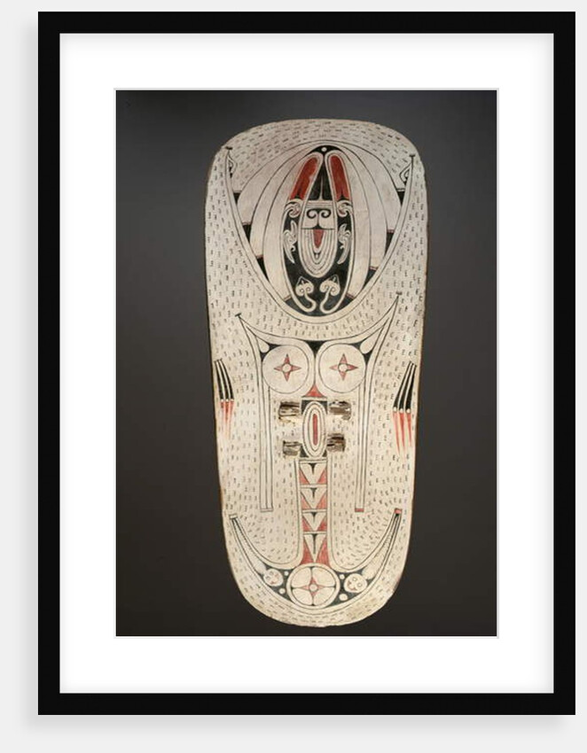 Shield by Melanesian Melanesian