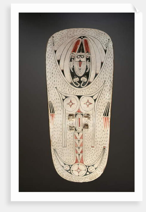 Shield by Melanesian Melanesian