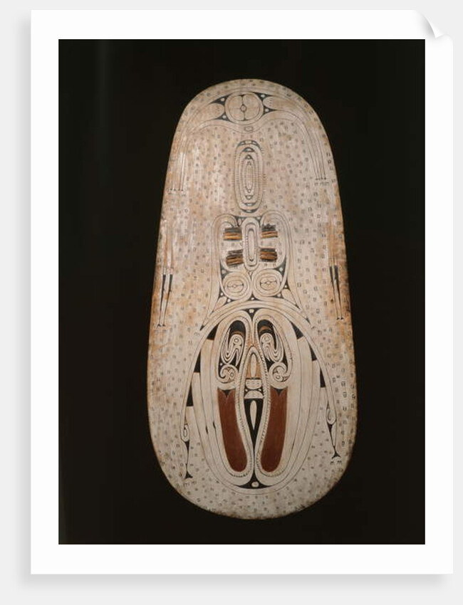 Shield, Trobriand Islands by Oceanic Oceanic