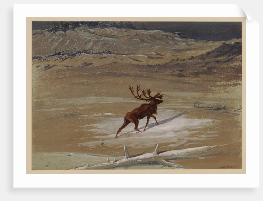 Stag, 1871 by Ernest Henry Griset