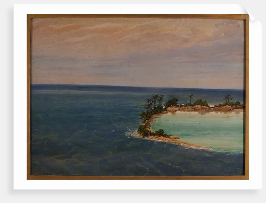 Triptych of an Atoll, 1871 by Ernest Henry Griset