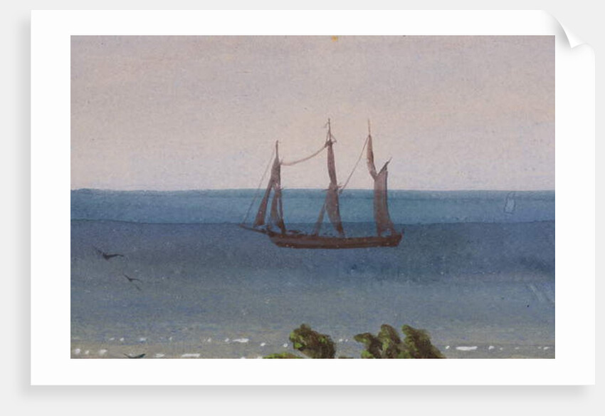 Detail of Triptych of an Atoll, 1871 by Ernest Henry Griset