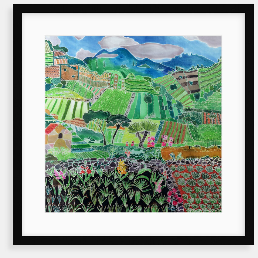 Cabbages and Lilies, Solola Region, Guatemala, 1993 by Hilary Simon