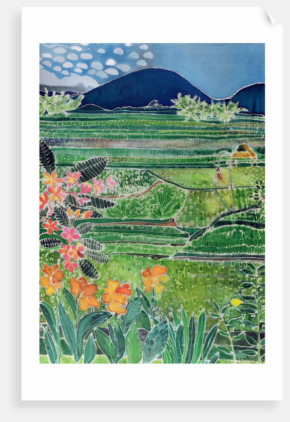 Lovina Ricefields with Lilies and Frangipani, Bali, 1996 by Hilary Simon