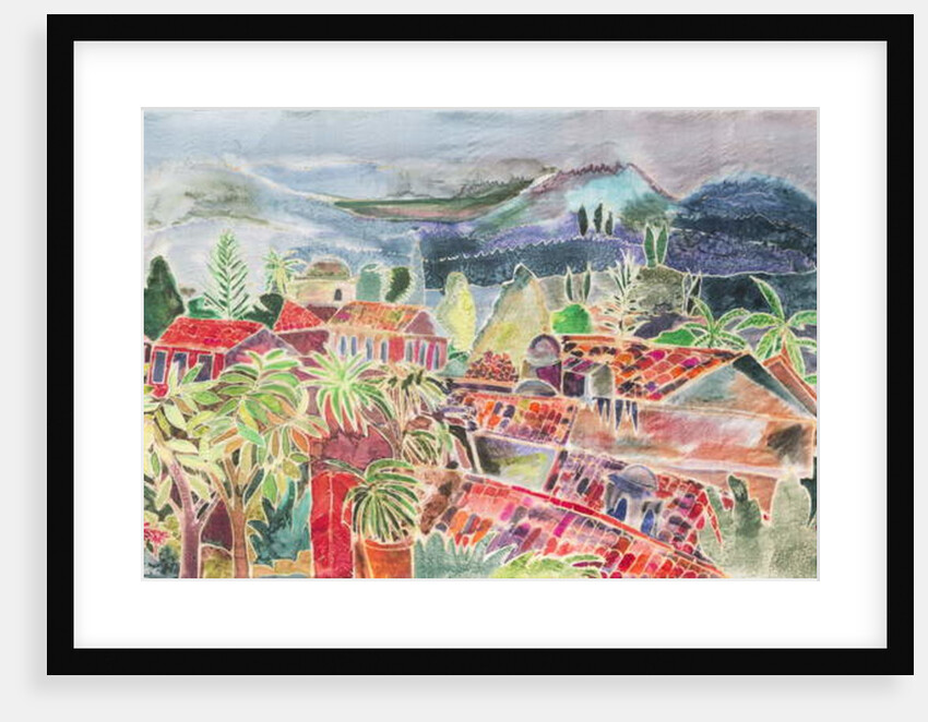 Antigua Rooftops by Hilary Simon