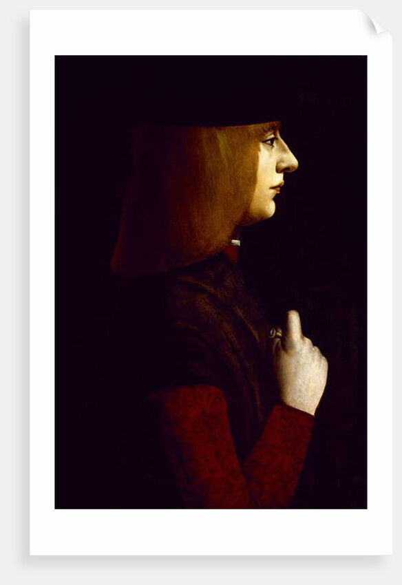 Portrait of a Young Man, c.1500 by Giovanni Ambrogio de (attr. to) Predis