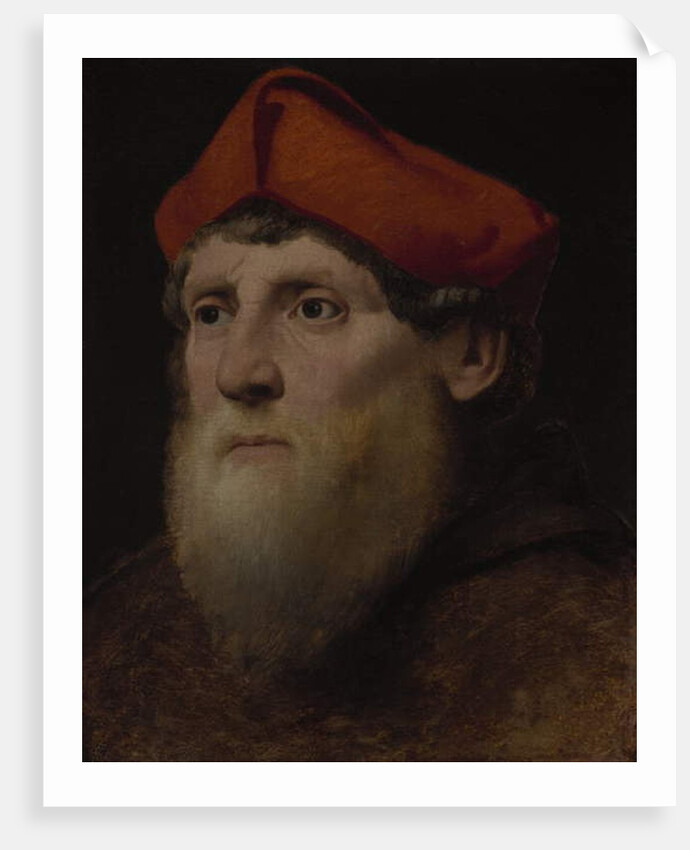 Portrait of a Bearded Prelate, c.1520-40 by Italian School