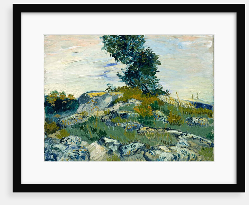 The Rocks, 1888 by Vincent van Gogh