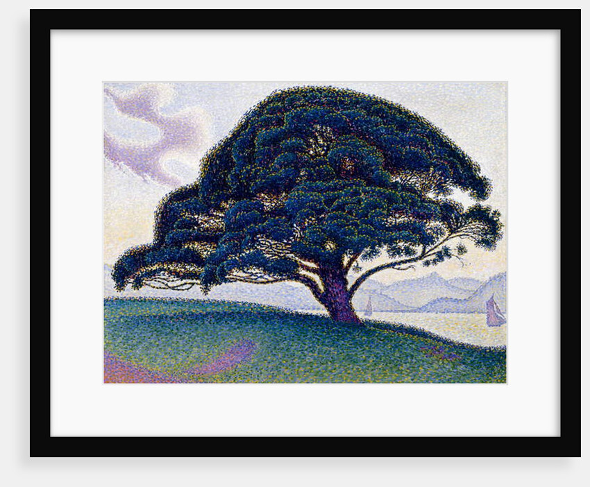 The Bonaventure Pine, 1893 by Paul Signac