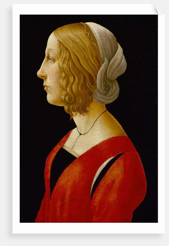 Bust of a Young Woman, c.1485-90 by Raffaellino del Garbo