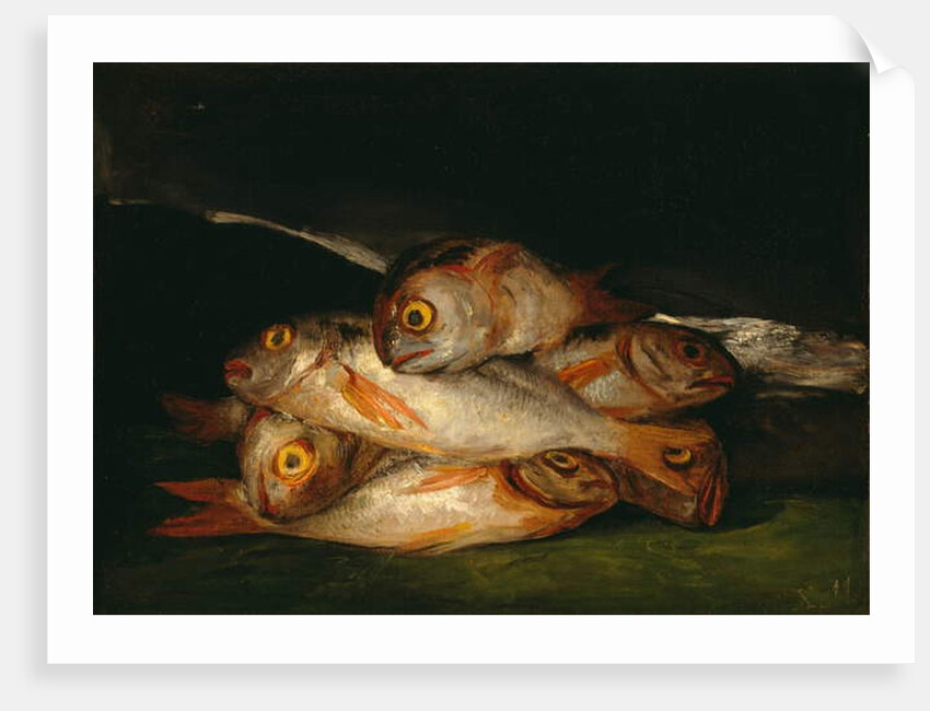 Still Life with Golden Bream, 1808-12 by Francisco Jose de Goya y Lucientes