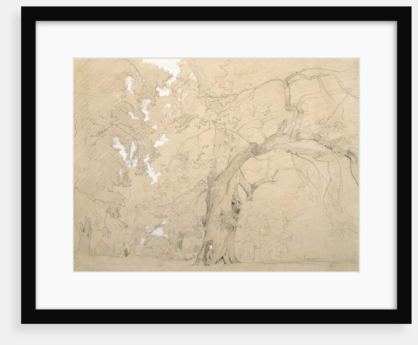 Young Man in Front of a Great Oak, c.1840 by Jean Baptiste Camille Corot