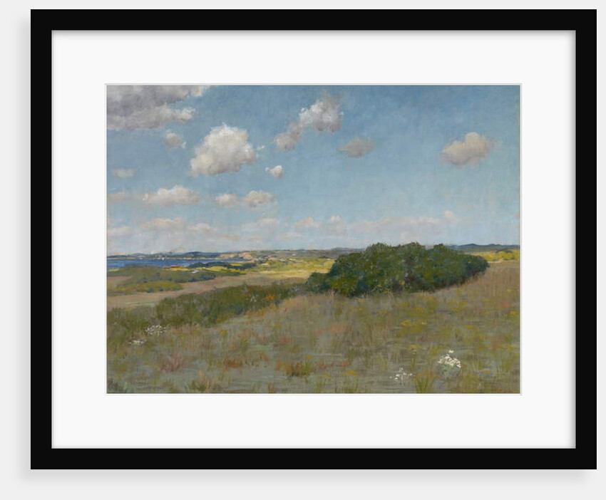 Sunlight and Shadow, Shinnecock Hills, c.1895 by William Merritt Chase