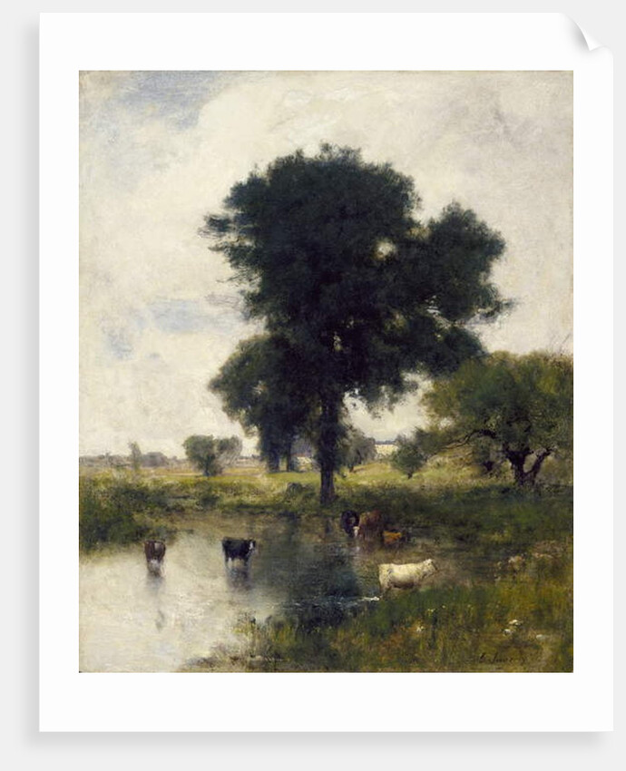 Cattle in Pool, 1880 by George Snr. Inness