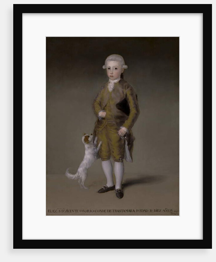 Don Vicente Isabel Osorio de Moscoso y Álvarez de Toledo, Conde de Trastámara, c.1787-88 by Francisco Jose de Goya y Lucientes