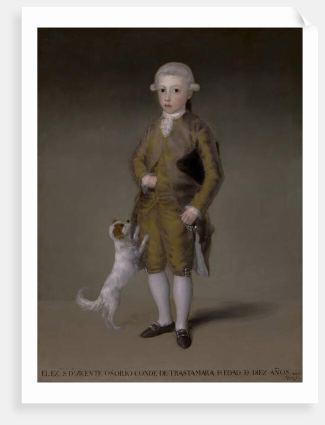 Don Vicente Isabel Osorio de Moscoso y Álvarez de Toledo, Conde de Trastámara, c.1787-88 by Francisco Jose de Goya y Lucientes