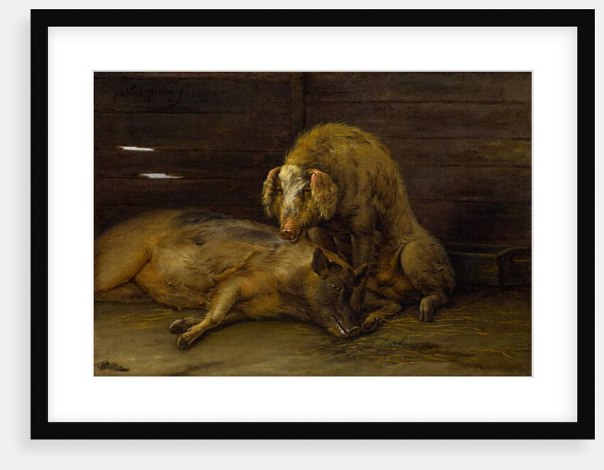Two Pigs in a Sty, 1649 by Paulus Potter