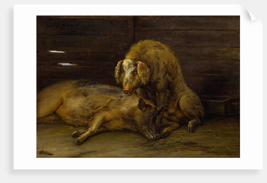 Two Pigs in a Sty, 1649 by Paulus Potter