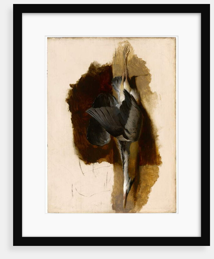 Study of a Dead Heron, c.1832-33 by Edwin Landseer