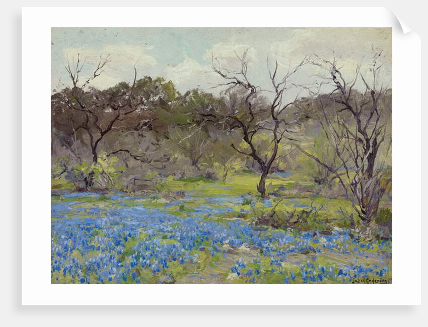 Early Spring Bluebonnets and Mesquite, 1919 by Julian Onderdonk