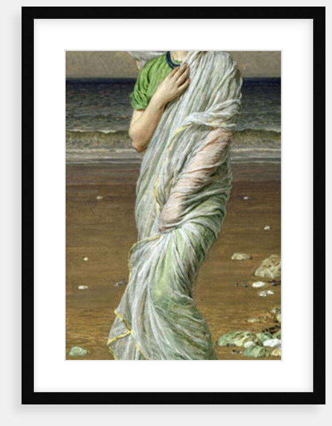 Seashells by Albert Joseph Moore
