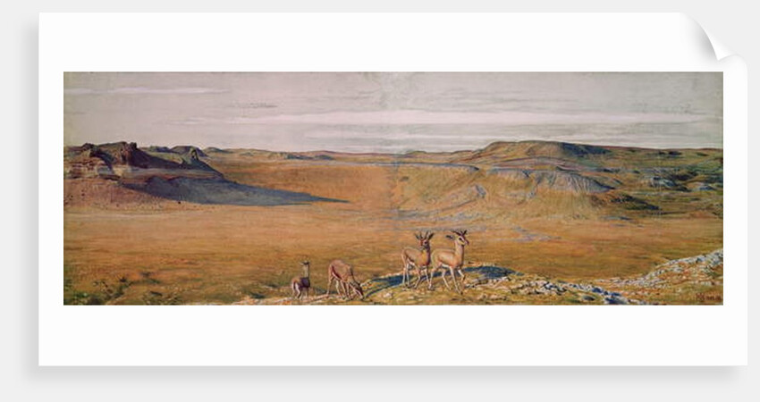 The Wilderness of Gizeh, 1854 by William Holman Hunt