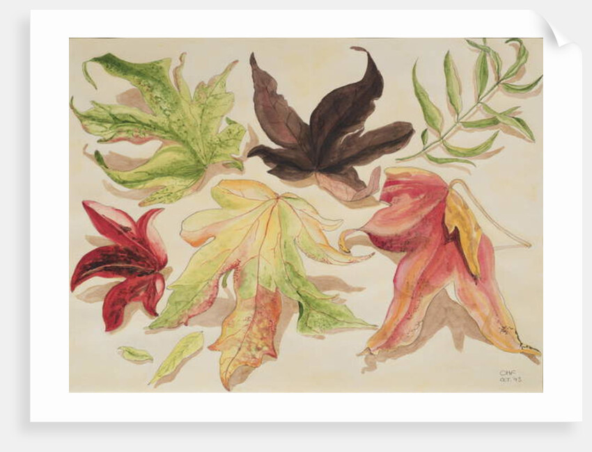 Autumn Leaves, 1993 by Carolyn Hubbard-Ford