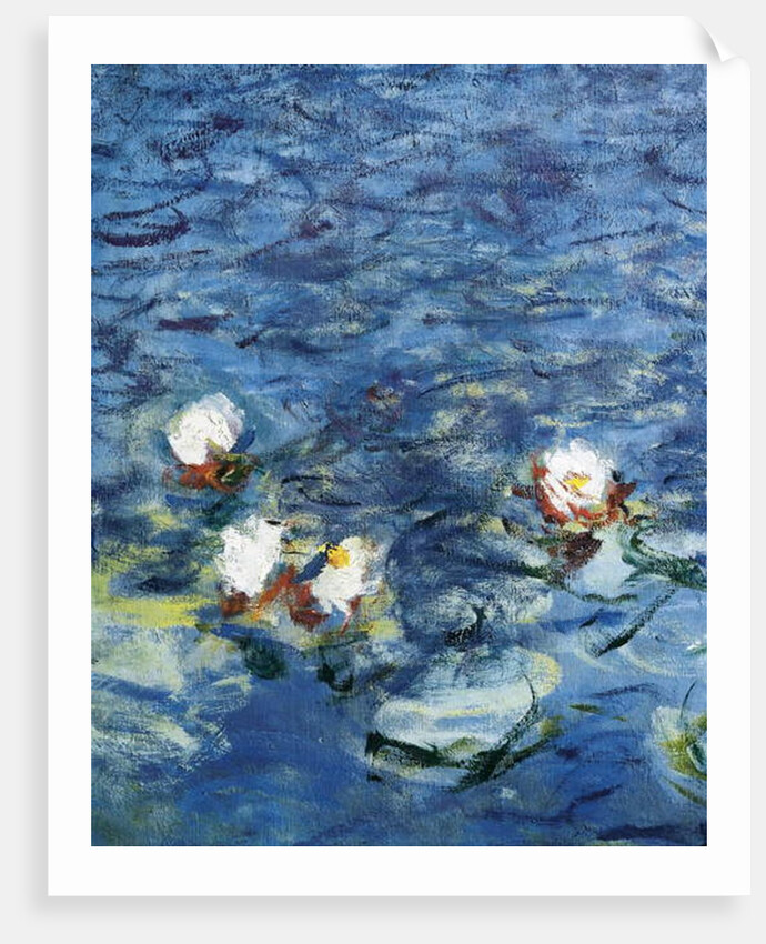 Les Nympheas: Le Matin 1916-1926 by Claude Monet