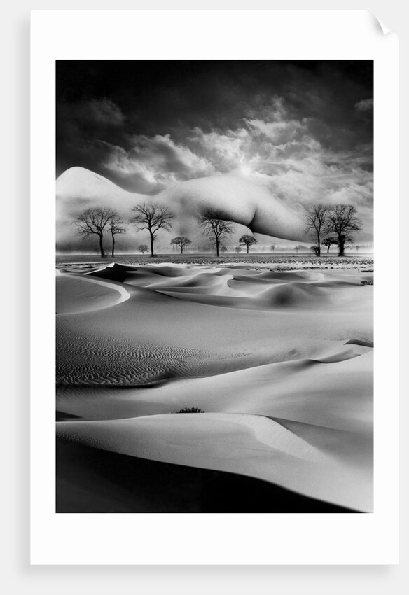 Mother, 1988 by Hag Hag