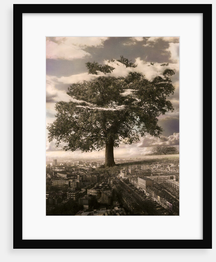 The Tree in Islington, 1978 by Hag Hag