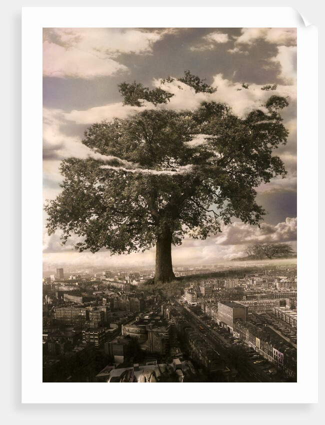 The Tree in Islington, 1978 by Hag Hag