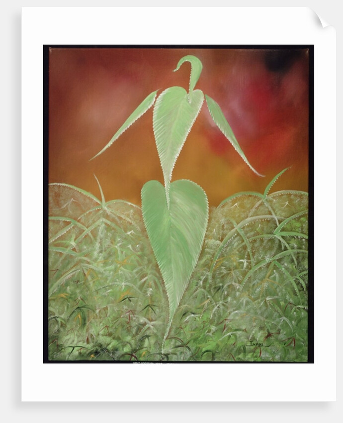 Hemped Out, 2008 by Ikahl Beckford