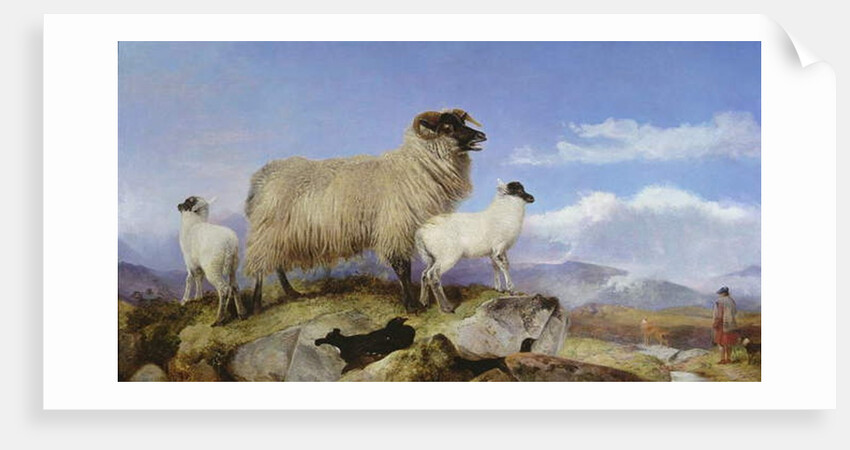 Ewe and Lambs by Richard Ansdell