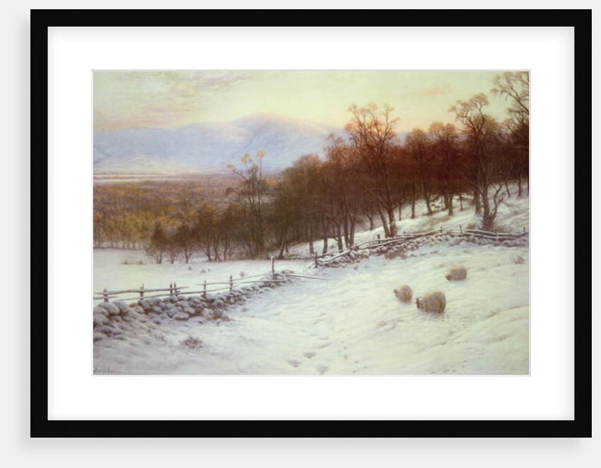 Snow Covered Fields with Sheep by Joseph Farquharson