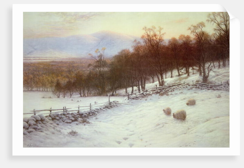 Snow Covered Fields with Sheep by Joseph Farquharson