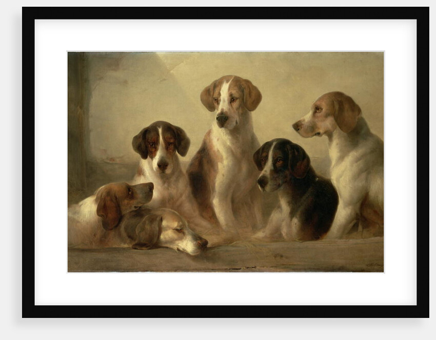 Hounds by Edward Robert Smythe