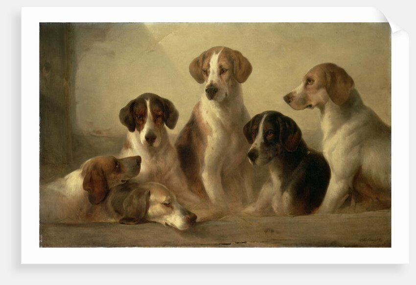 Hounds by Edward Robert Smythe