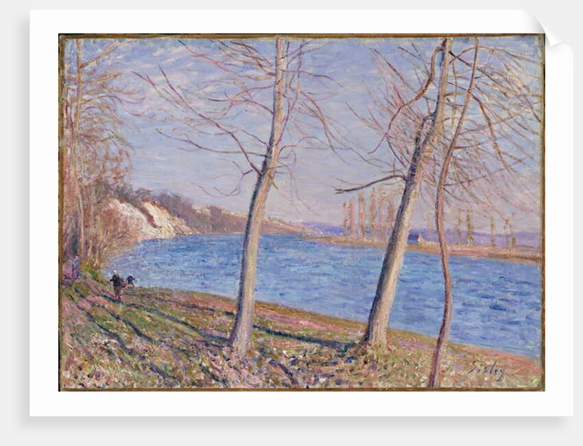 The Banks of the River at Veneux, 1881 by Alfred Sisley