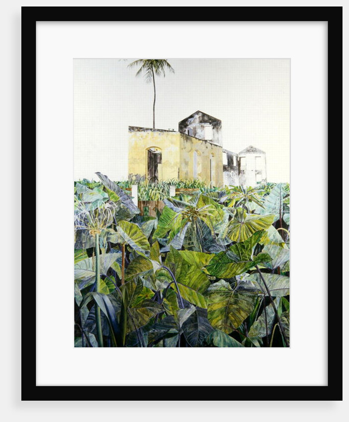 Ruin in a Swamp, Haiti, 1971 by James Reeve