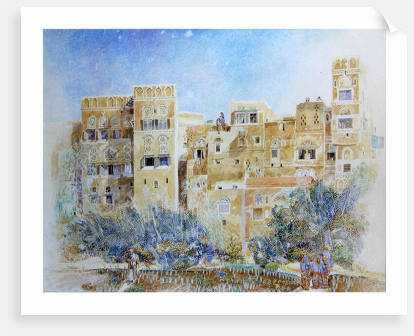 Kitchen Garden, Sana'a, North Yemen, 1975 by James Reeve