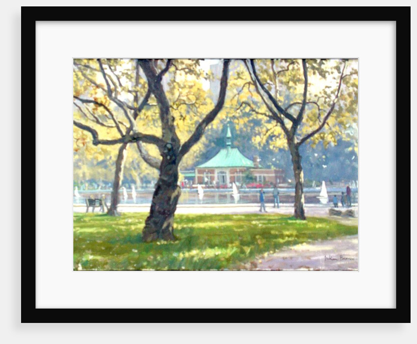 Boat Pond, Central Park by Julian Barrow