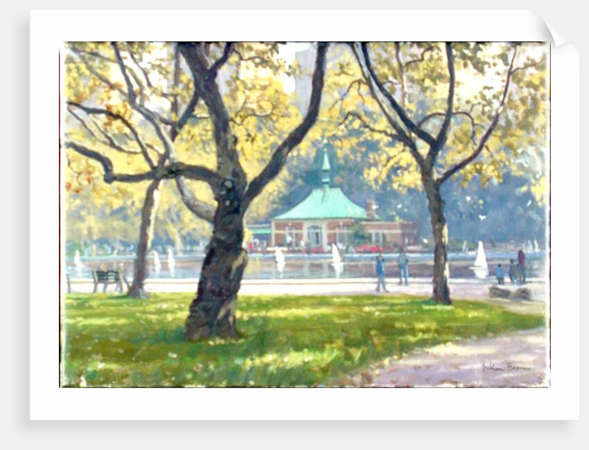 Boat Pond, Central Park by Julian Barrow