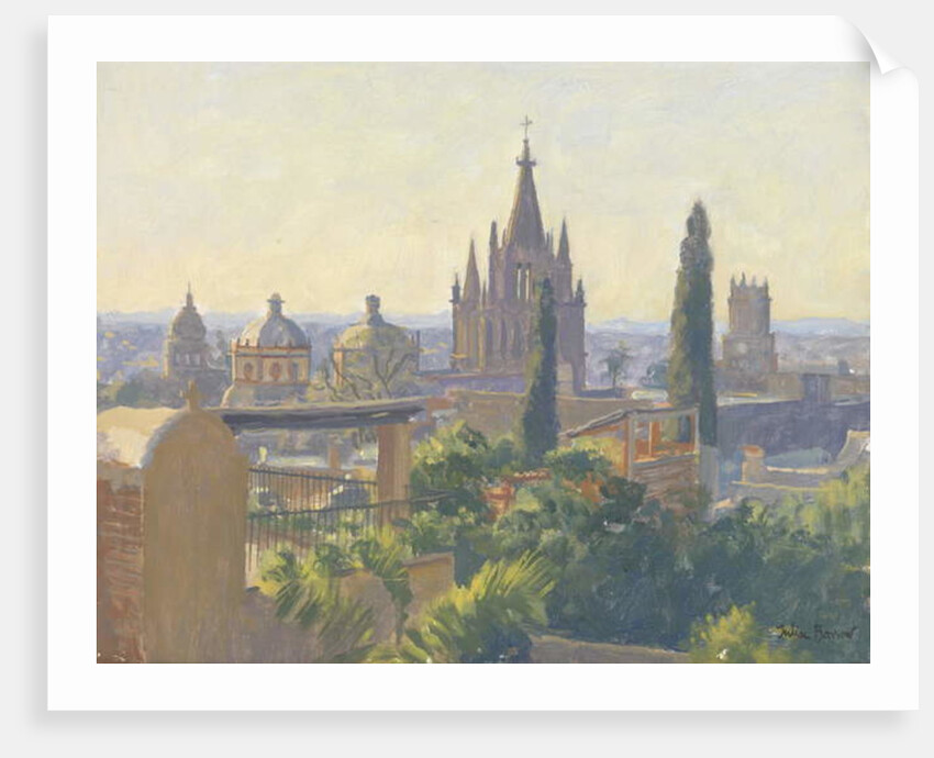 Rooftops of San Miguel Allende, 2005 by Julian Barrow
