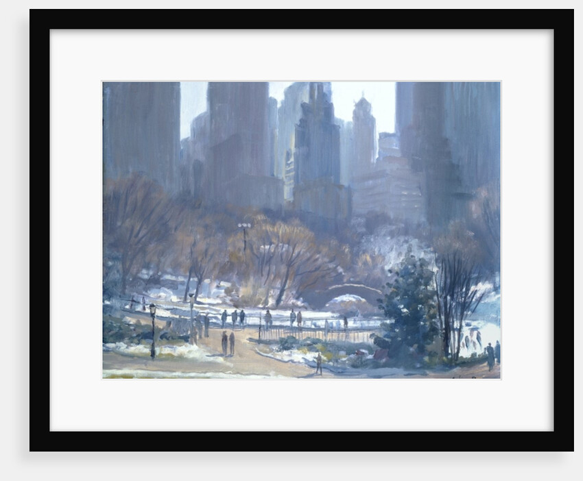 Winter in Central Park, New York, 1997 by Julian Barrow