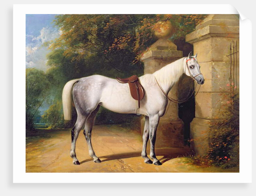 A Grey Horse by Park Gates, 1851 by Henry Barraud
