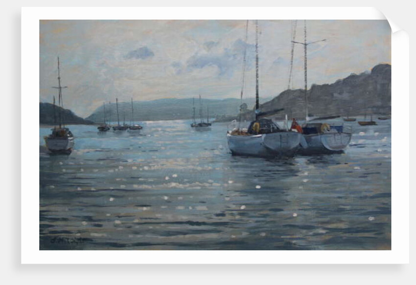 Evening Light, Salcombe by Jennifer Wright