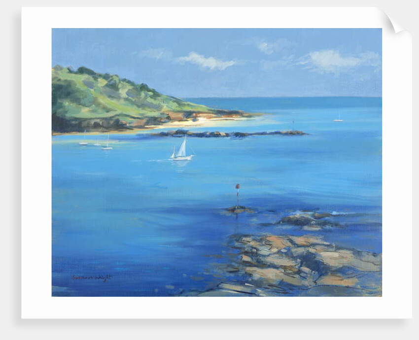 Sailing out of Salcombe, 2000 by Jennifer Wright